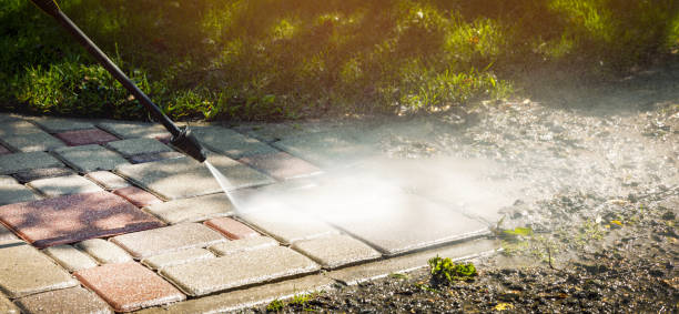 Best Sidewalk and Walkway Cleaning  in Hearne, TX